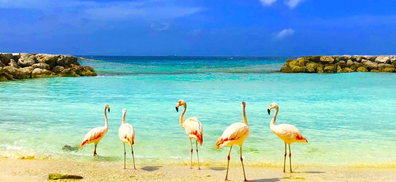 ARUBA, one happy island